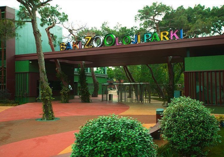 Bayramda Zoopark fəaliyyət göstərəcək? -  AÇIQLAMA