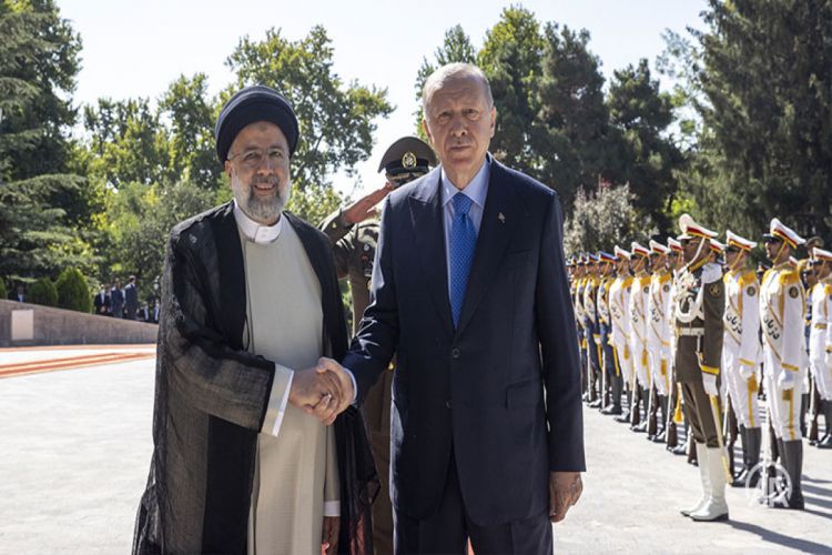 İran və Türkiyə prezidentləri Tehranda görüşüb