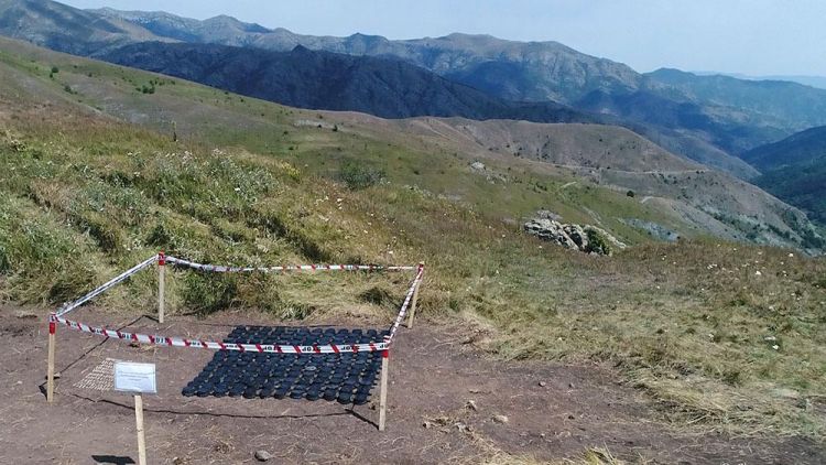 Son bir həftədə Üçdik-Qırxqız-Sarıbaba yüksəkliklərində 1318 mina aşkarlanıb Son bir həftədə Üçdik-Qırxqız-Sarıbaba yüksəkliklərində 1318 mina aşkarlanıb