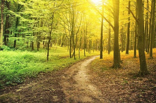 Sentyabrın ilk ongünlüyündə  hava necə olacaq? Sentyabrın ilk ongünlüyündə  hava necə olacaq?