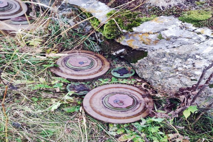 Ermənilərin Azərbaycan Ordusunun mövqeləri arasında basdırdığı minalar zərərsizləşdirilib - VİDEO Ermənilərin Azərbaycan Ordusunun mövqeləri arasında basdırdığı minalar zərərsizləşdirilib - VİDEO