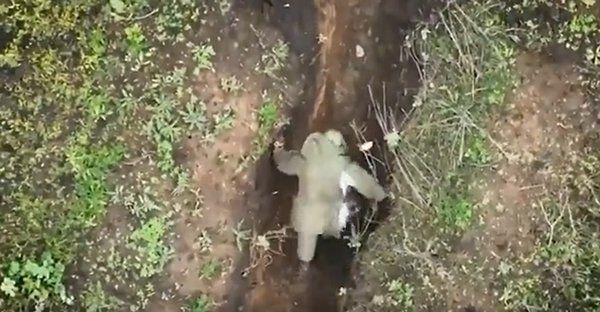 Səngərdə yatan əsgər üzərinə gələn bombanı geri atıb yatmağa davam etdi - VİDEO Səngərdə yatan əsgər üzərinə gələn bombanı geri atıb yatmağa davam etdi - VİDEO