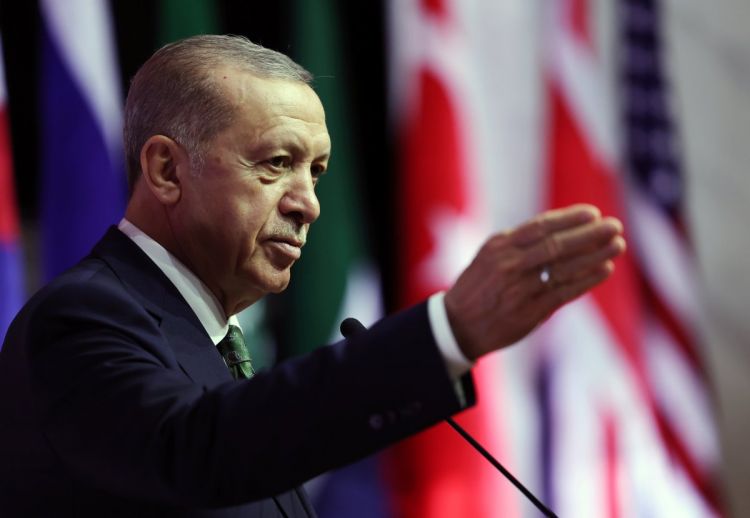 Ərdoğan küçə itləri ilə bağlı tapşırıq verdi