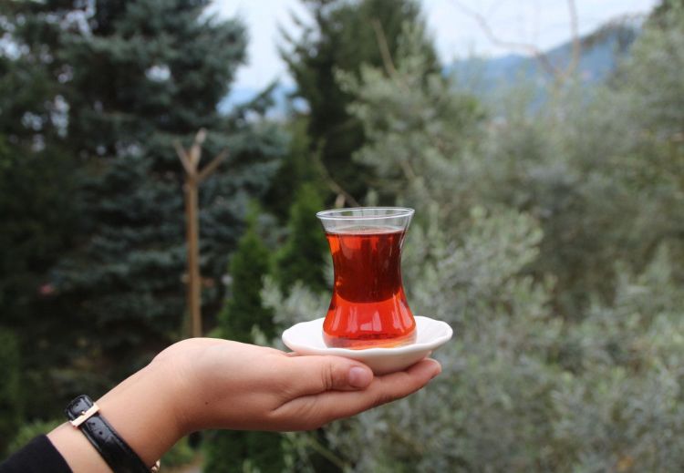 “Türk çay mədəniyyəti” YUNESKO-nun siyahısına daxil edilib