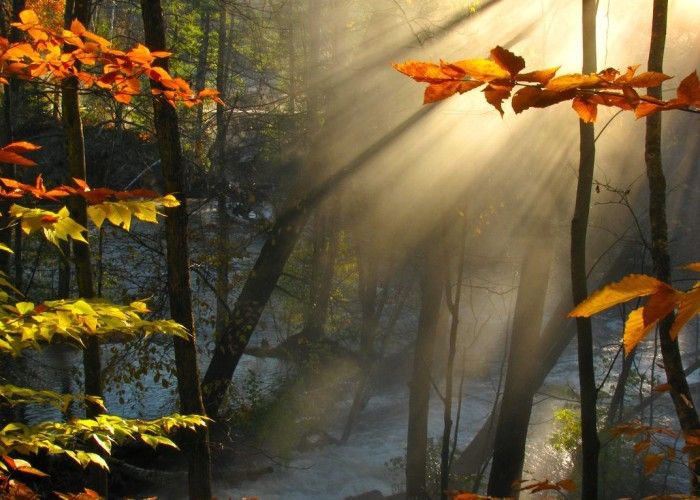 Sabahın hava proqnozu  AÇIQLANDI Sabahın hava proqnozu  AÇIQLANDI