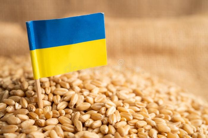 Rusiya 1 milyard dollar dəyərində Ukrayna buğdasını oğurlayıb “Bloomberg”