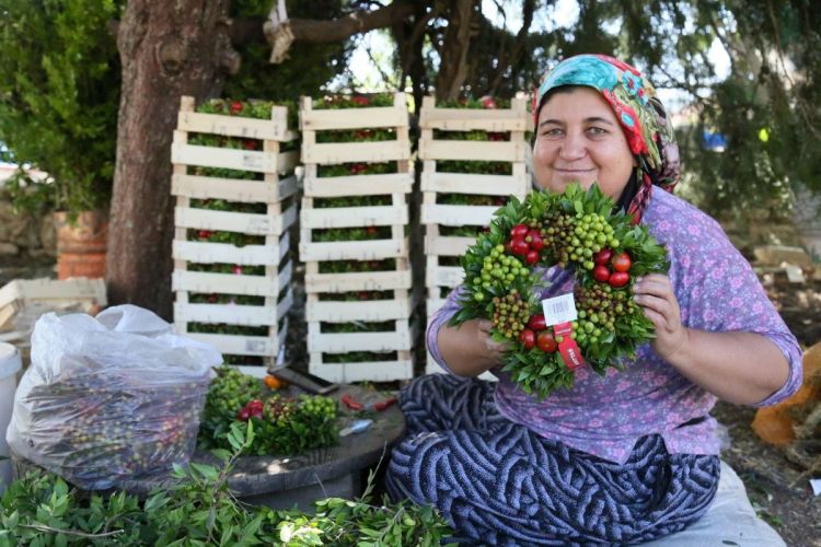 Avropanın "Noel çələngləri" Türkiyədə hazırlanır - 10 milyon dollarlıq ixrac