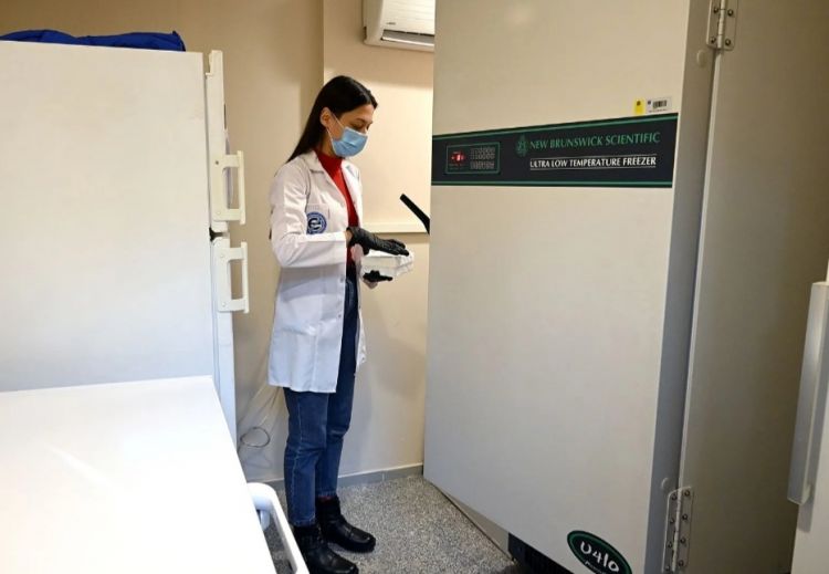 Ege Universitetinin alimləri peyvənd hazırladı Ege Universitetinin alimləri peyvənd hazırladı