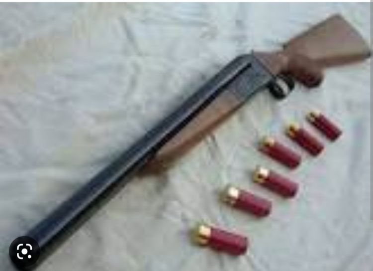 Daşkəsəndə vətəndaşlardan qanunsuz ov silahları  götürülüb Daşkəsəndə vətəndaşlardan qanunsuz ov silahları  götürülüb