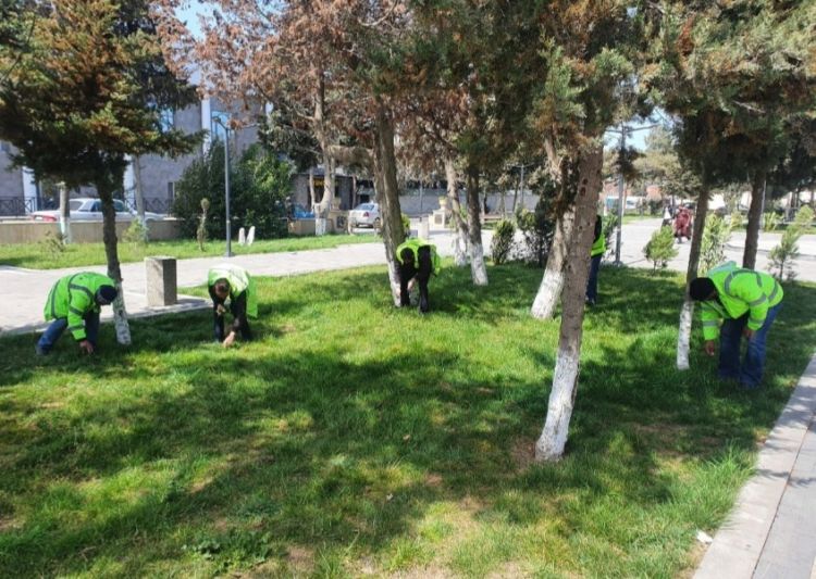 Paytaxtda Novruz iməciliyi keçirilir Paytaxtda Novruz iməciliyi keçirilir