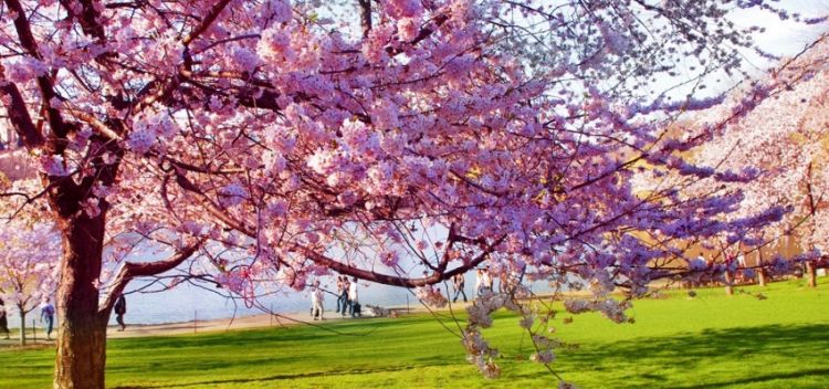 Bayram günlərində  hava necə olacaq?