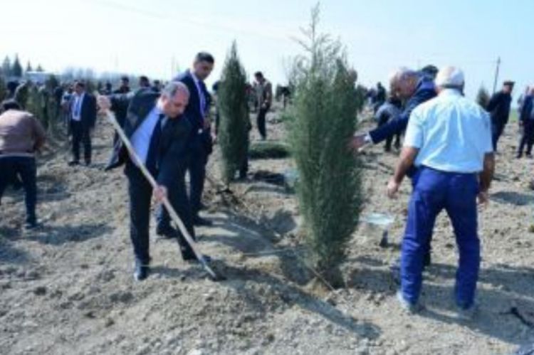 “Heydər Əliyev İli” çərçivəs“ində YAP-ın yerli təşkilatları ağacəkmə kampaniyası keçirib “Heydər Əliyev İli” çərçivəs“ində YAP-ın yerli təşkilatları ağacəkmə kampaniyası keçirib