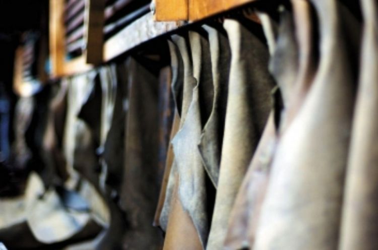 Dəri və dəridən məmulatların, ayaqqabıların istehsalında 3,7 dəfə artım qeydə alınıb Dəri və dəridən məmulatların, ayaqqabıların istehsalında 3,7 dəfə artım qeydə alınıb