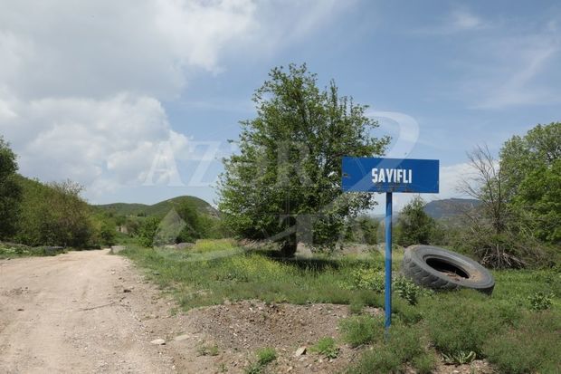 Zəngilan rayonunun Şayıflı kəndi -  FOTO