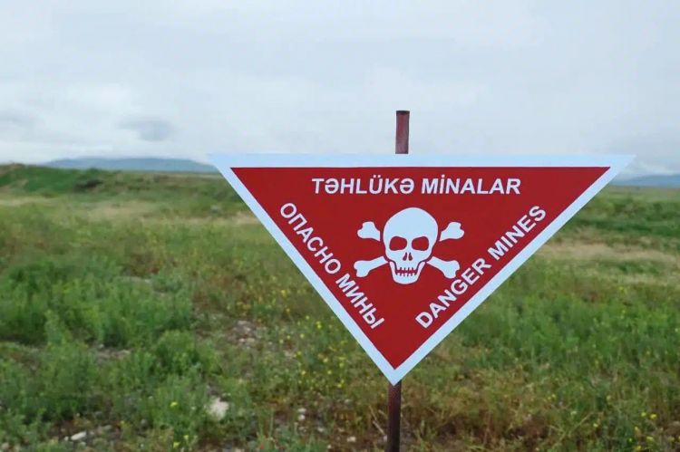 Nazirlik: "Azərbaycan Ordusunun mühəndis bölmələri 36 000 hektaradək ərazini minalardan təmizləyib"