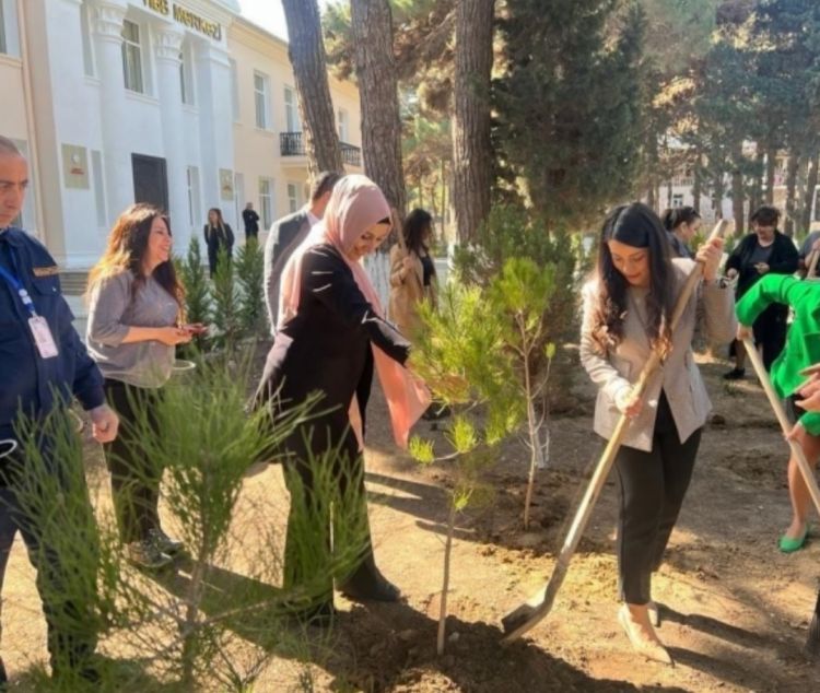 Ağaclar ağ ciyərlərimizdir” aksiyasında 150-dən çox həmişəyaşıl ağac əkilib- FOTO