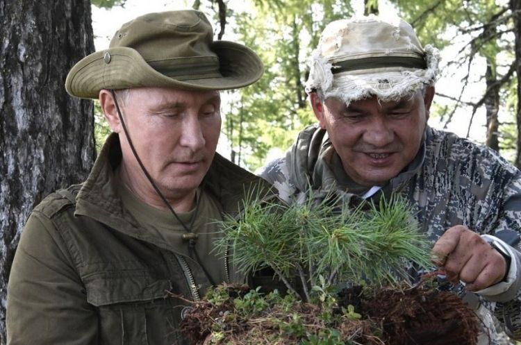 Putin göbələk və bitkilərin müdafiəsinə qalxdı