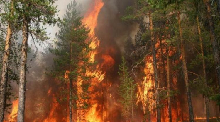 Kanadada meşə yanğınlarına görə on minlərlə sakin təxliyə edilib Kanadada meşə yanğınlarına görə on minlərlə sakin təxliyə edilib