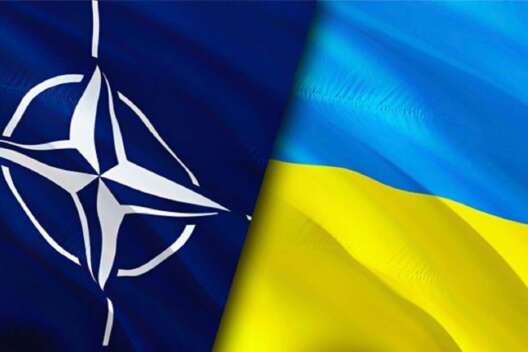 Ukrayna NATO-dan təhlükəsizlik zəmanəti ala bilərmi? - Ekspert rəyi