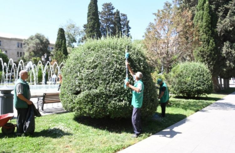 Bu gün Bakının 545 küçəsi yuyuldu - FOTO