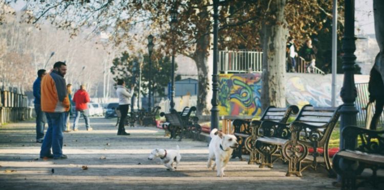 Qonşu ölkədə təhlükəli virusa yoluxma halları artır