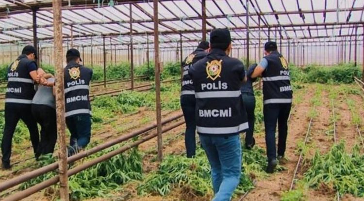 Laçında polislərlə hərbçilər birgə əməliyyat keçirdi