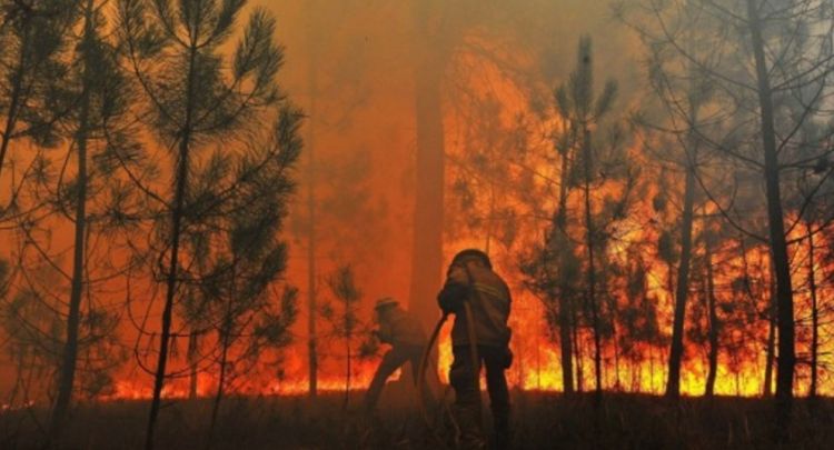 Rusiyada dəhşətli yanğın: 283 min hektarı əhatə etdi