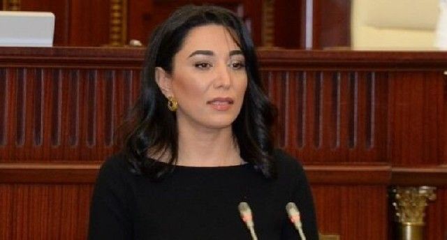 Ombudsman Ermənistanın mina terroru ilə bağlı beynəlxalq təşkilatlara çağırış edib