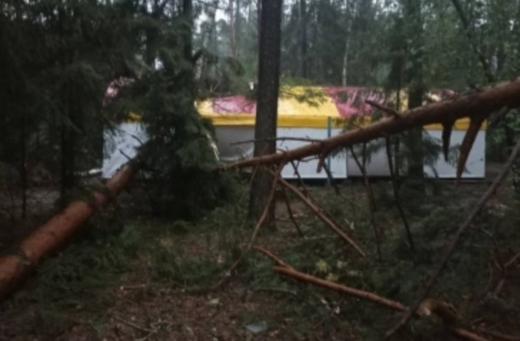 Rusiyada qasırğa səbəbindən ağaclar aşıb, 6 nəfər ölüb