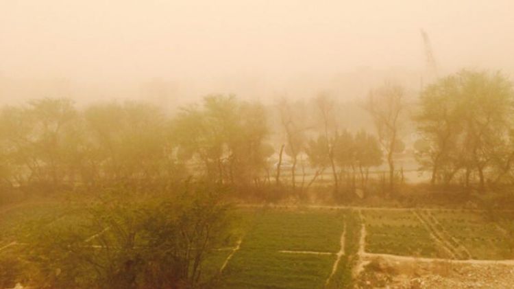 İranda qum fırtınası: Yüzlərlə insan xəstəxanaya yerləşdirilib İranda qum fırtınası: Yüzlərlə insan xəstəxanaya yerləşdirilib