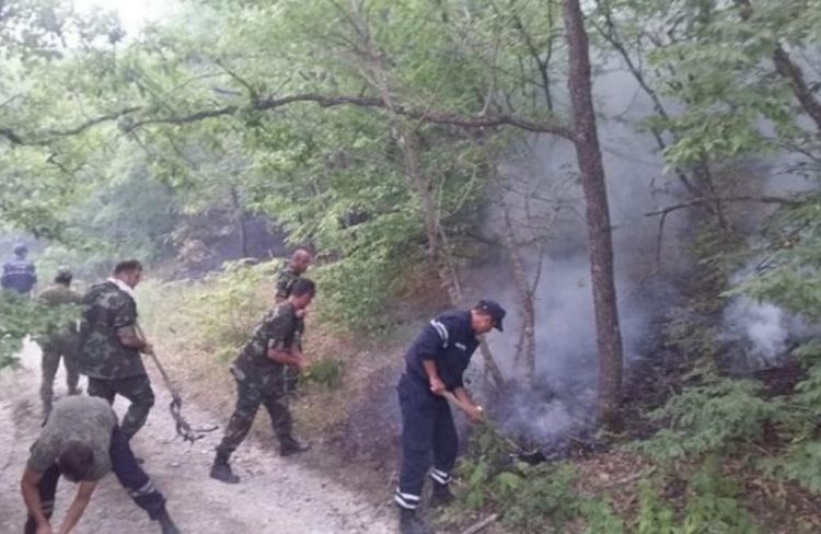 Şahdağ Milli Parkında yanğın baş verdi