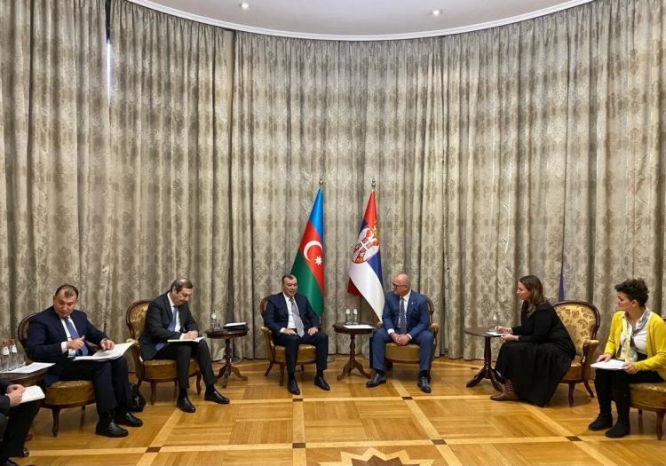 Azərbaycan nümayəndə heyəti Serbiyada bir sıra hökumət rəsmiləri ilə görüşlər keçirib Azərbaycan nümayəndə heyəti Serbiyada bir sıra hökumət rəsmiləri ilə görüşlər keçirib