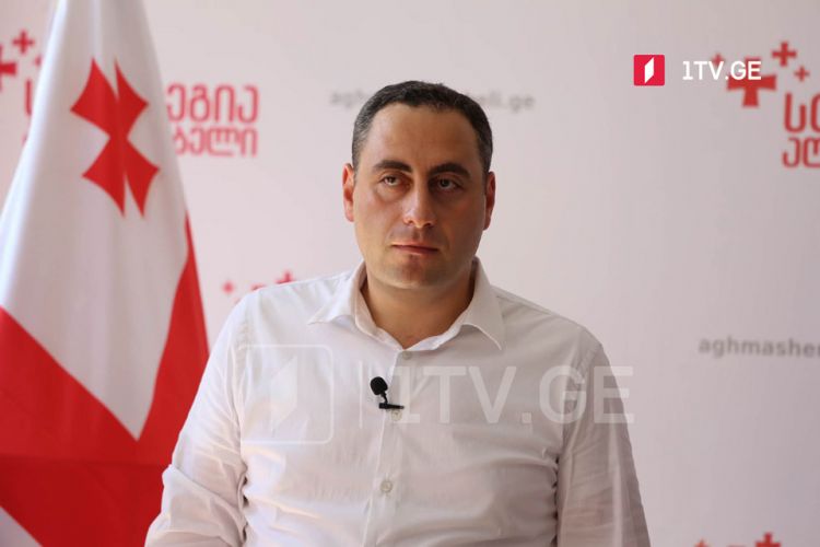 Vaşadze: Saakaşvilinin əfv edilməsi düzgün addım olardı