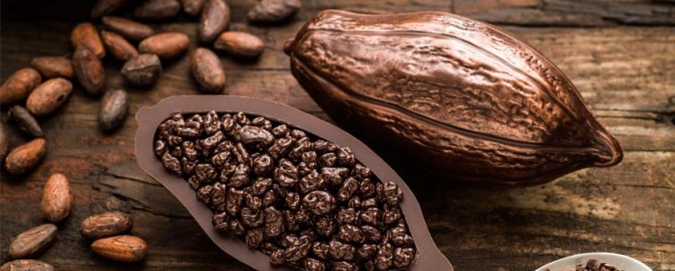 Kakaonun qiyməti 46 ilin rekordunu yeniləyib