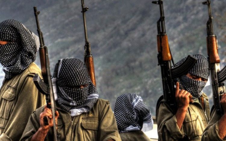 ABŞ diplomatı: PKK-nı terror təşkilatı kimi tanıyırıq