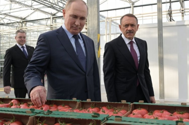 Putinin səfəri zamanı pomidor yığa bilən robot nümayiş etdirilib - VİDEO