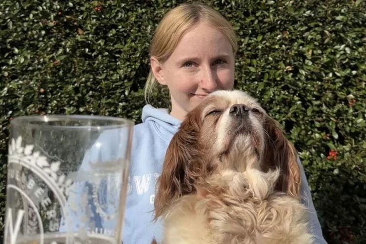 İt çipsi yemək üçün evdən qaçaraq bara gedib İt çipsi yemək üçün evdən qaçaraq bara gedib