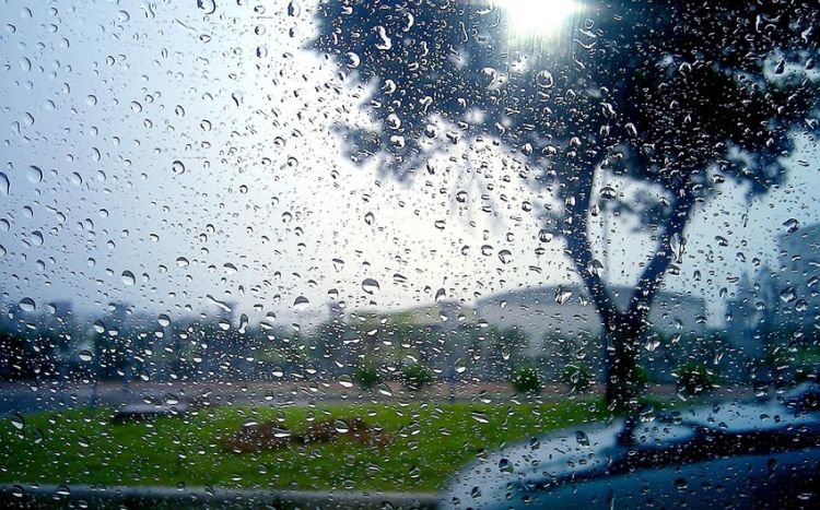 Rayonlara yağış yağacaq - SABAHIN HAVASI