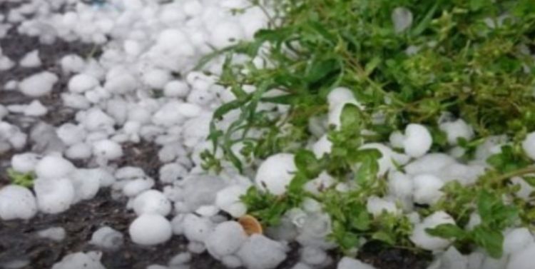 Sabah leysan yağacaq, dolu düşəcək - PROQNOZ Sabah leysan yağacaq, dolu düşəcək - PROQNOZ