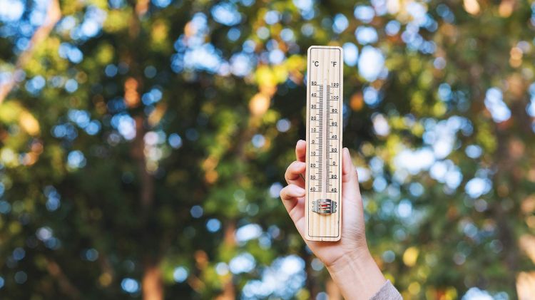 "Azərbaycanda temperatur daha sürətlə yüksələcək" - Xarici ekspert: 