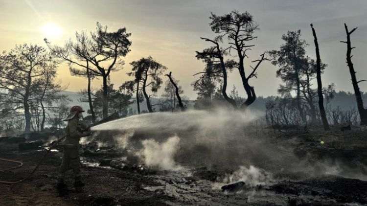 İzmirdə meşə yanğını nəzarət altına alındı İzmirdə meşə yanğını nəzarət altına alındı