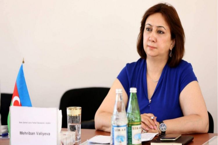 Bakı Şəhəri üzrə Təhsil İdarəsinin keçmiş müdiri Mehriban Vəliyeva deputatlığa namizəd oldu