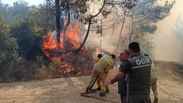 Adanada meşə yanğınının söndürülməsi istiqamətində işlər davam edir