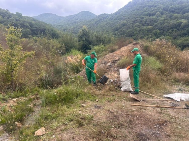 Dövlət Ekoloji Təhlükəsizlik Xidməti sosial şəbəkələrdə yayılmış görüntülərə aydınlıq gətirib