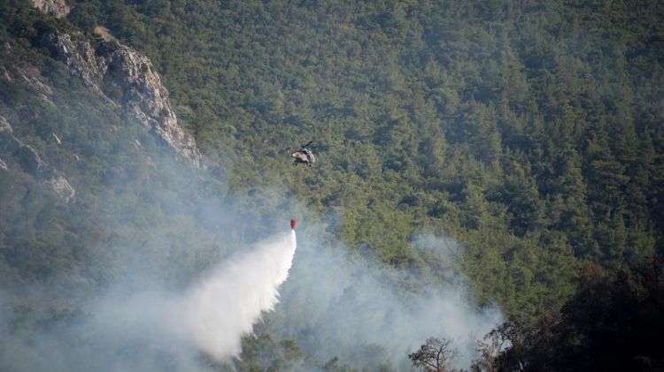 Manisada meşə yanğını nəzarətə götürülüb