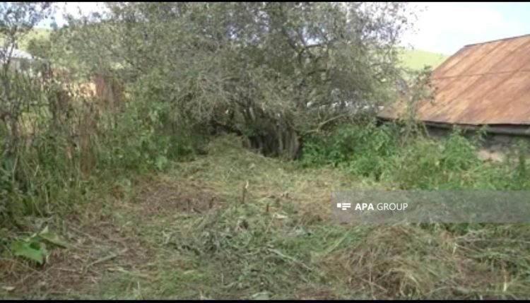 Daşkəsəndə qayınanasını balta ilə öldürən gəlinin meyiti tapılıb - FOTO