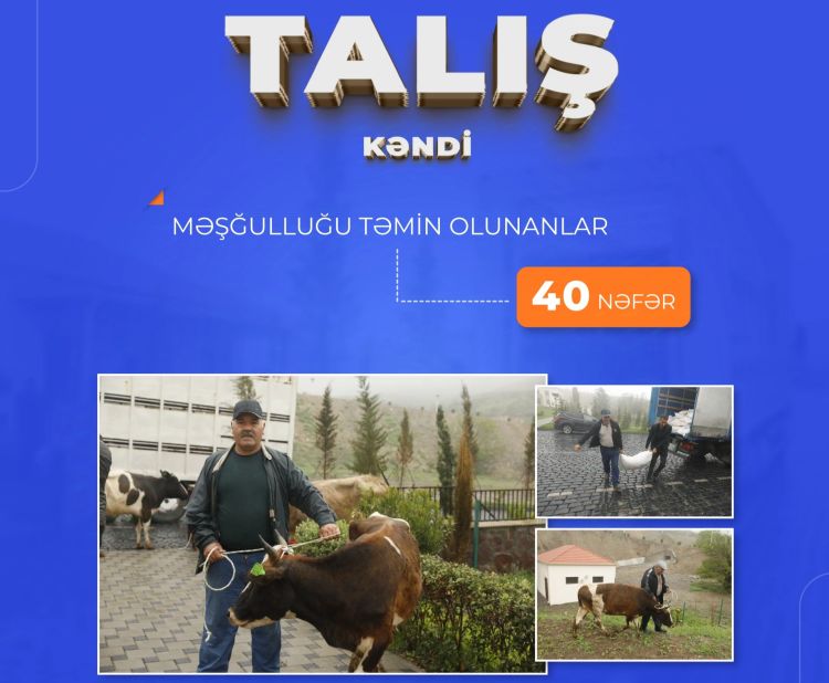 Talış sakinlərdən artıq 40 nəfər şəxsin məşğulluğu təmin olunub