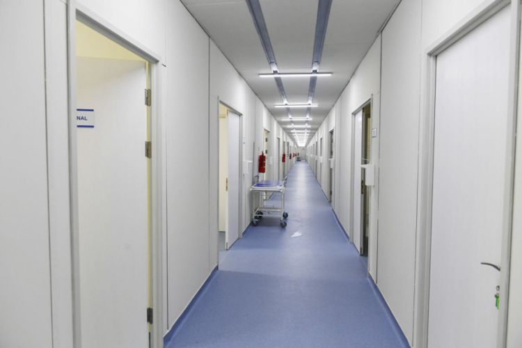 Azərbaycanda əqrəb sancan müəllim ölüb Azərbaycanda əqrəb sancan müəllim ölüb