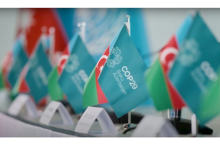 COP29-da qeydiyyatdan keçənlərin ilkin sayı açıqlanıb