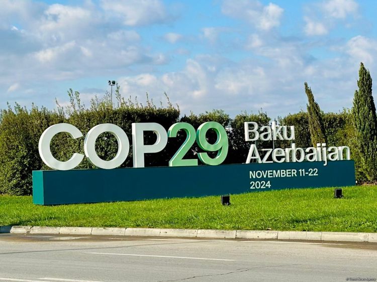 COP29 üçün Azərbaycana gələnlərə viza pulsuz veriləcək - RƏSMİ